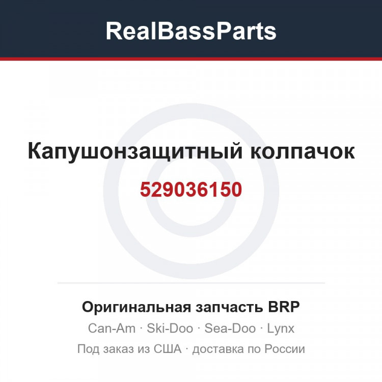 529036150 Капушонзащитный колпачок