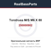 250000902 Torxtruss M/S M6 X 80