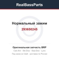 293650245 Нормальный зажим