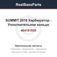404161935 SUMMIT 2016 Карбюратор - 404161935 Уплотнительное кольцо