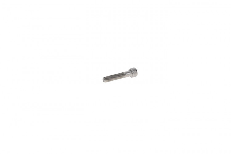 205084060 SCREW-SOCKET HD.DIN.912A2