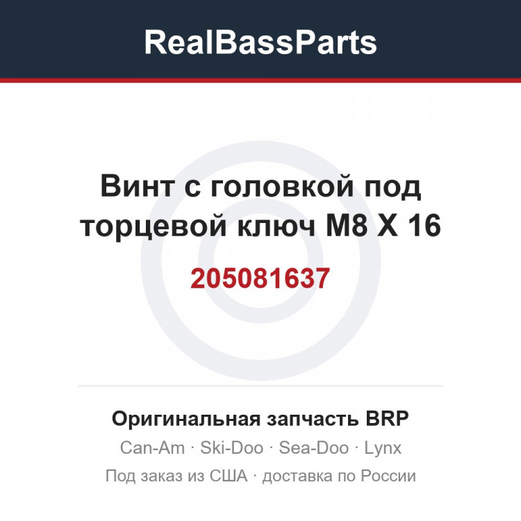 205081637 Винт с головкой под торцевой ключ M8 X 16