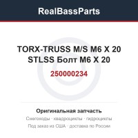 250000234 TORX-TRUSS M/S M6 X 20 STLSS Болт M6 X 20