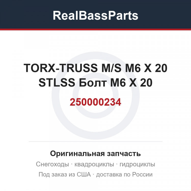 250000234 TORX-TRUSS M/S M6 X 20 STLSS Болт M6 X 20