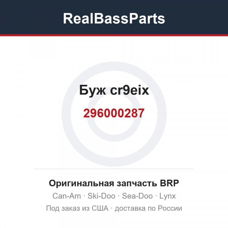 296000287 Буж cr9eix
