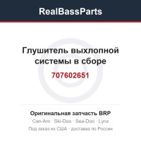 707602651 Глушитель выхлопной системы в сборе