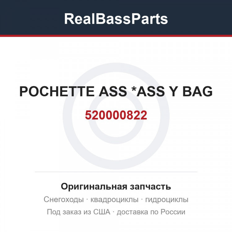 520000822 POCHETTE ASS   *ASS Y BAG