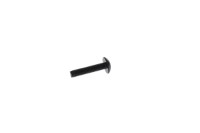 250000762 TORX-TRUSS M/S M5 X 25