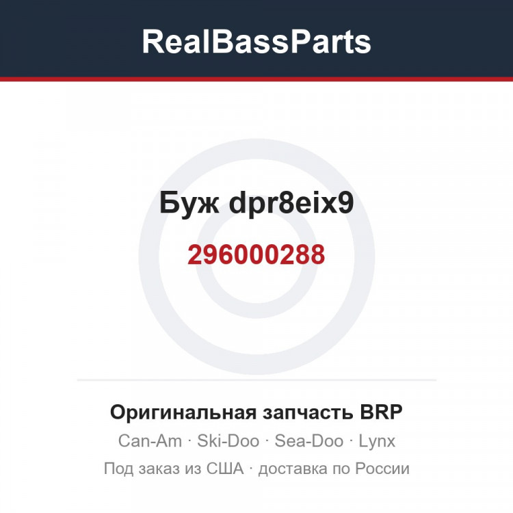 296000288 Буж dpr8eix9