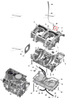 Fittin 90 D Ski-Doo Expedition 850 E-TEC SE (2024) (420924802)