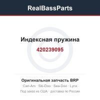 420239095 Индексная пружина