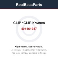 404161957 CLIP           *CLIP  Клипса