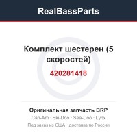 420281418 Комплект шестерен (5 скоростей)