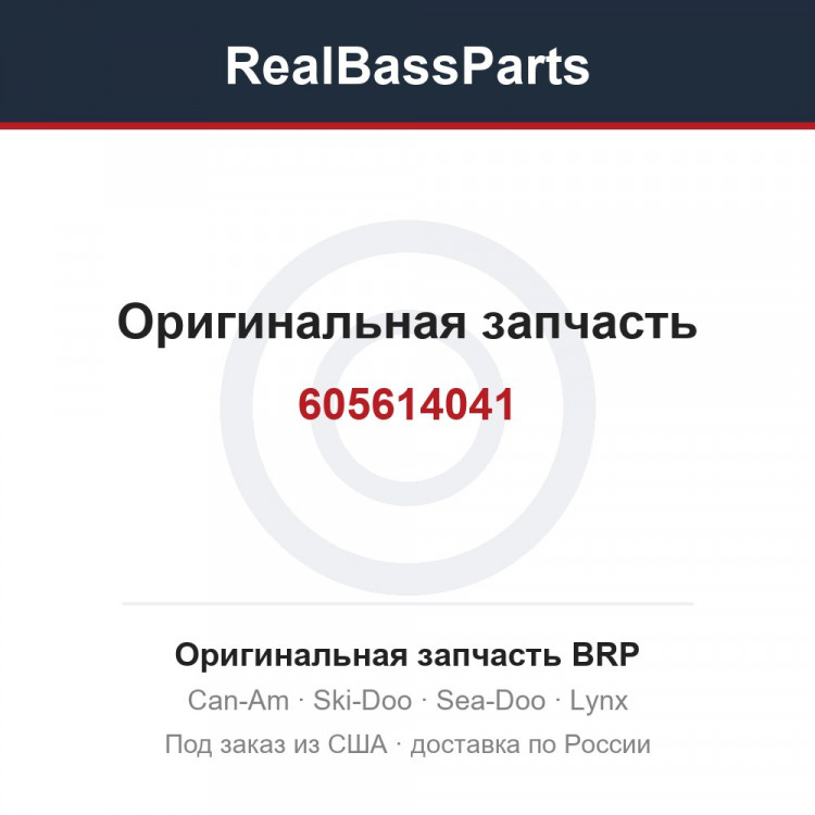 605614041