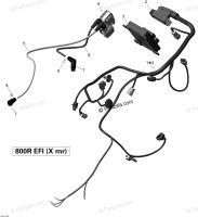 Блок управления двигателем Can-am XMR 420266739