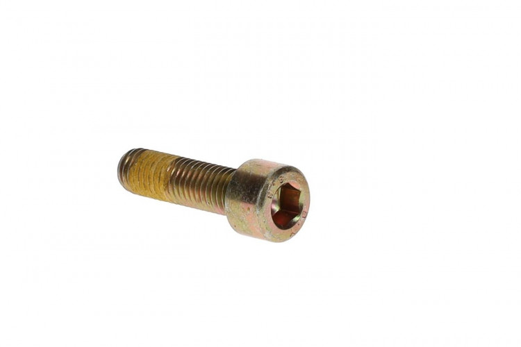 205503544 SCREW-SOCKET DIN.912 S.GRIP Болт M10 X 35