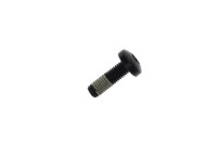250000438 Винт фермы torx M10 X 30