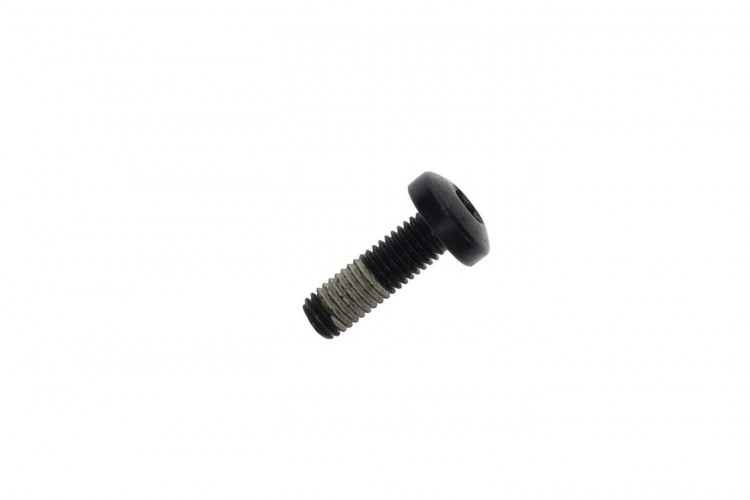 250000438 Винт фермы torx M10 X 30