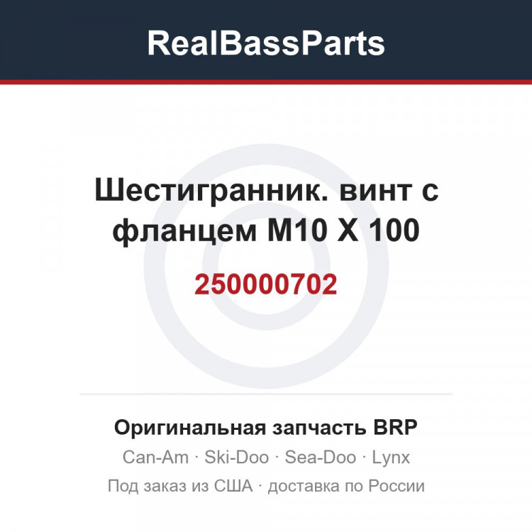 250000702 Шестигранник. винт с фланцем M10 X 100