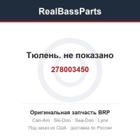 278003450 Тюлень. не показано