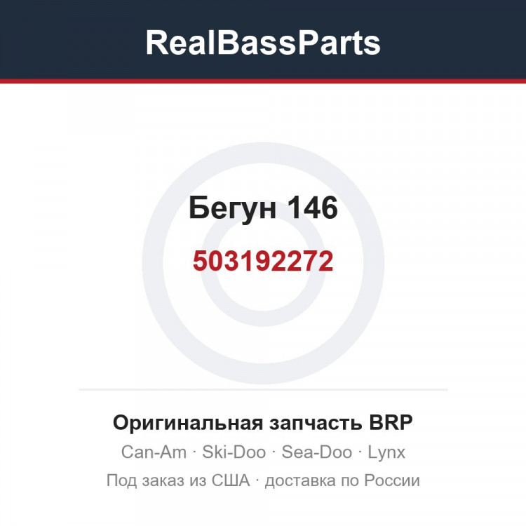 503192272 Бегун 146