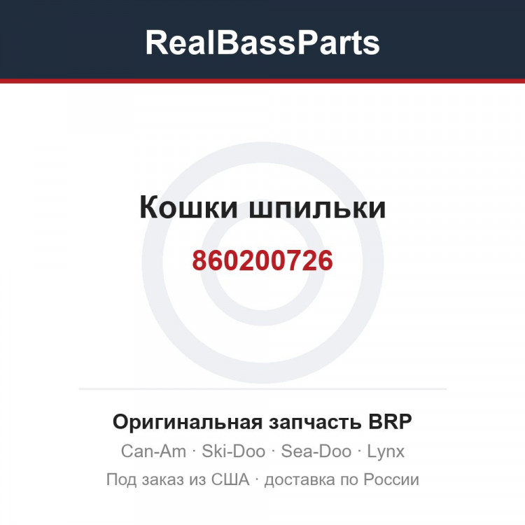 860200726 Кошки шпильки