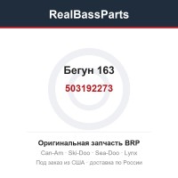 503192273 Бегун 163