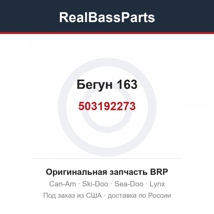 503192273 Бегун 163