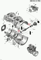 420232100 Подшипник привода помпы 600-800 E-TEC