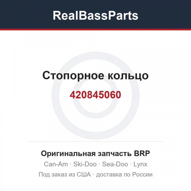 420845060 Стопорное кольцо