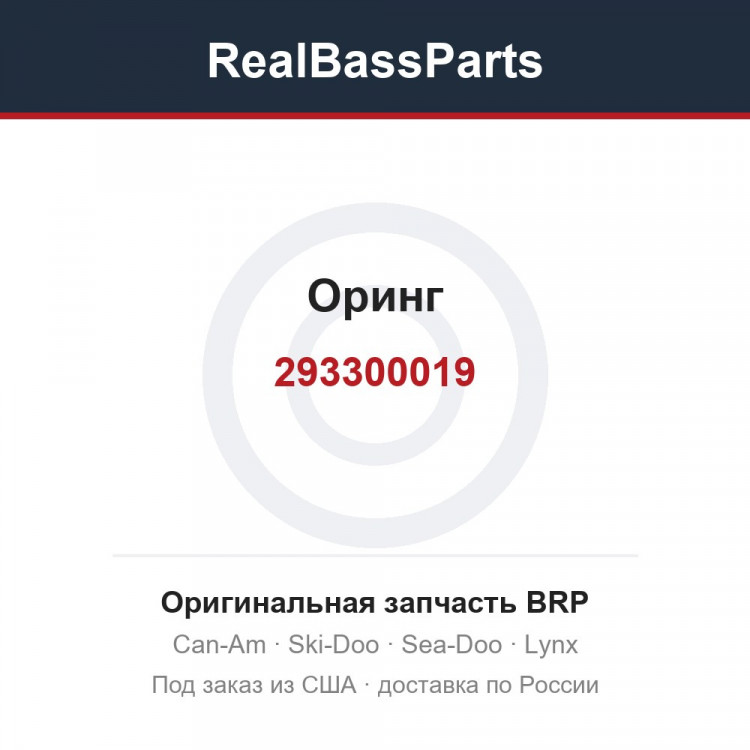 293300019 Оринг