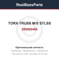 250000488 TORX-TRUSS M/S STLSS
