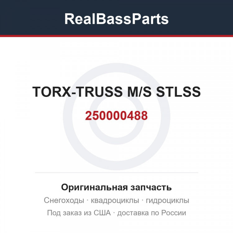 250000488 TORX-TRUSS M/S STLSS