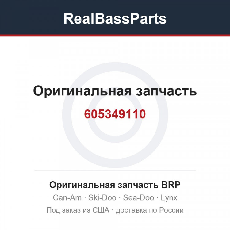 605349110