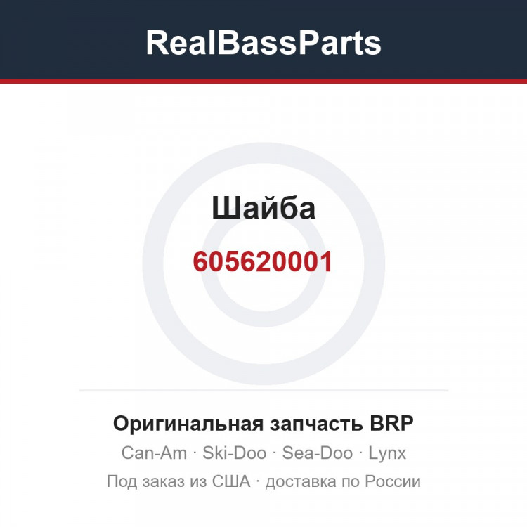 605620001 Шайба