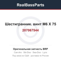 207067544 Шестигранник. винт M6 X 75