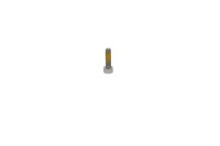 205562060 SCREW-SOCKET DIN.912A2 S.GRIP
