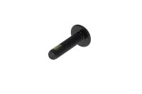 250000807 TORX-TRUSS M/S M6 X 25 Болт M6 X 25