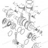 293300022 JOINT TORIQUE  *O-RING