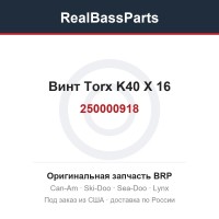 250000918 Винт Torx K40 X 16