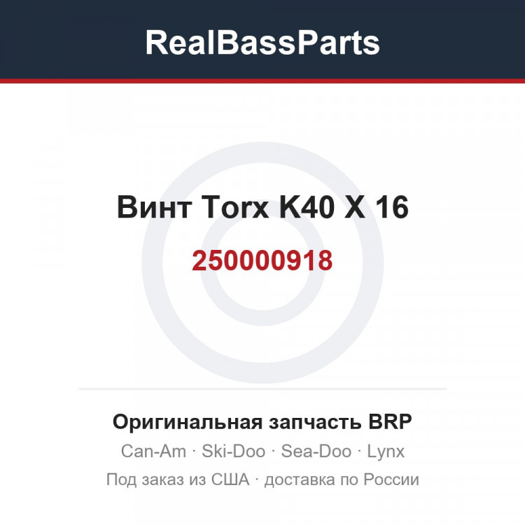 250000918 Винт Torx K40 X 16