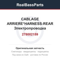 278002159 CABLAGE ARRIERE*HARNESS-REAR  Электропроводка
