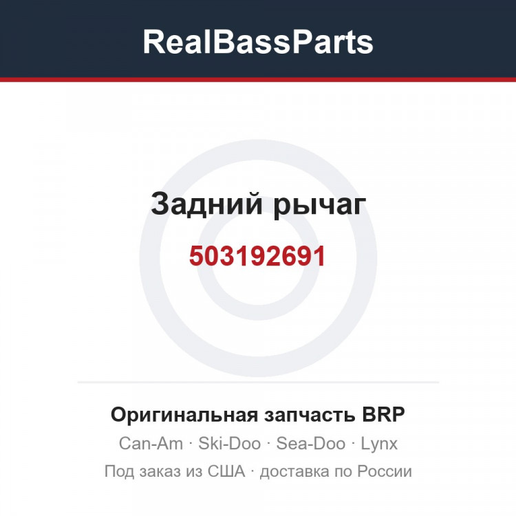 503192691 Задний рычаг