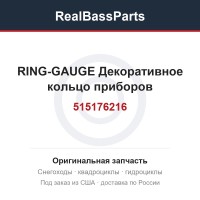 515176216 RING-GAUGE  Декоративное кольцо приборов