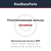 293300042 Уплотнительное кольцо