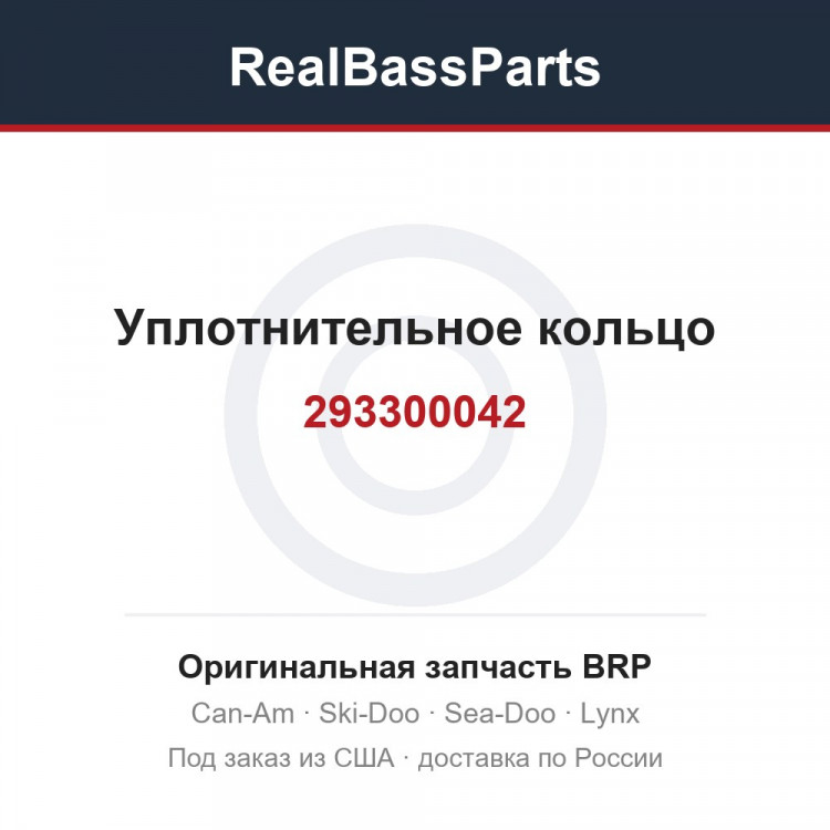 293300042 Уплотнительное кольцо