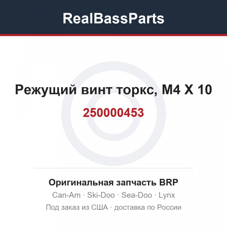 250000453 Режущий винт торкс, M4 X 10