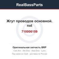 710006159 Жгут проводов основной. nxt