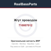 710007012 Жгут проводов