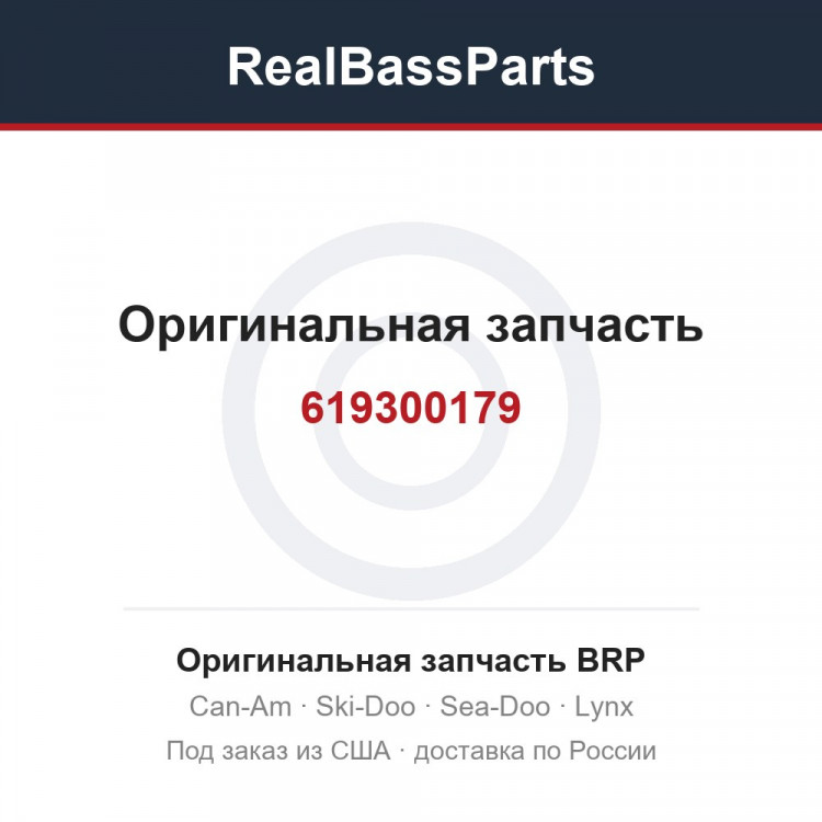 619300179